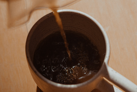 café y microbiota