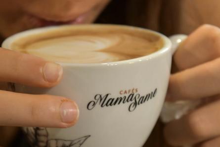 polifenoles, café y té