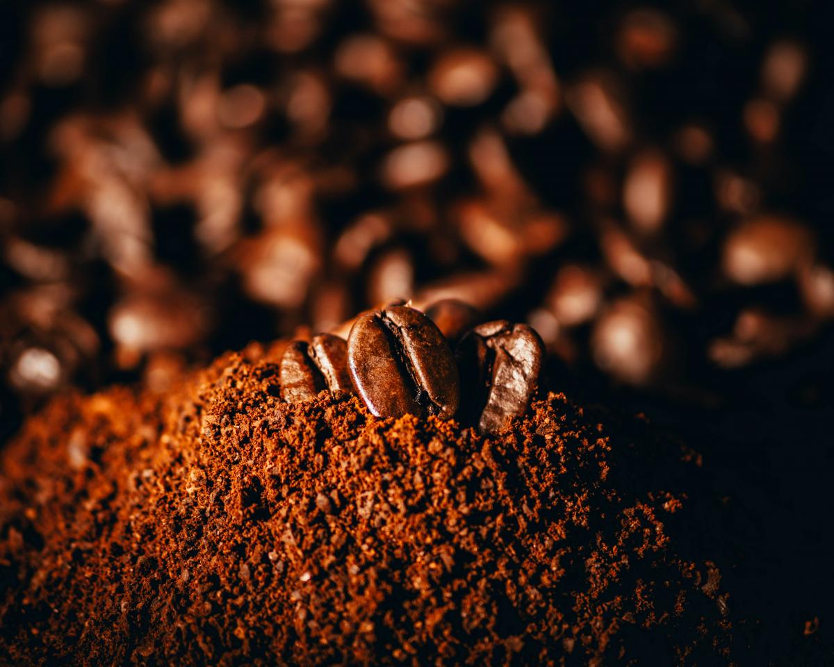 posos café