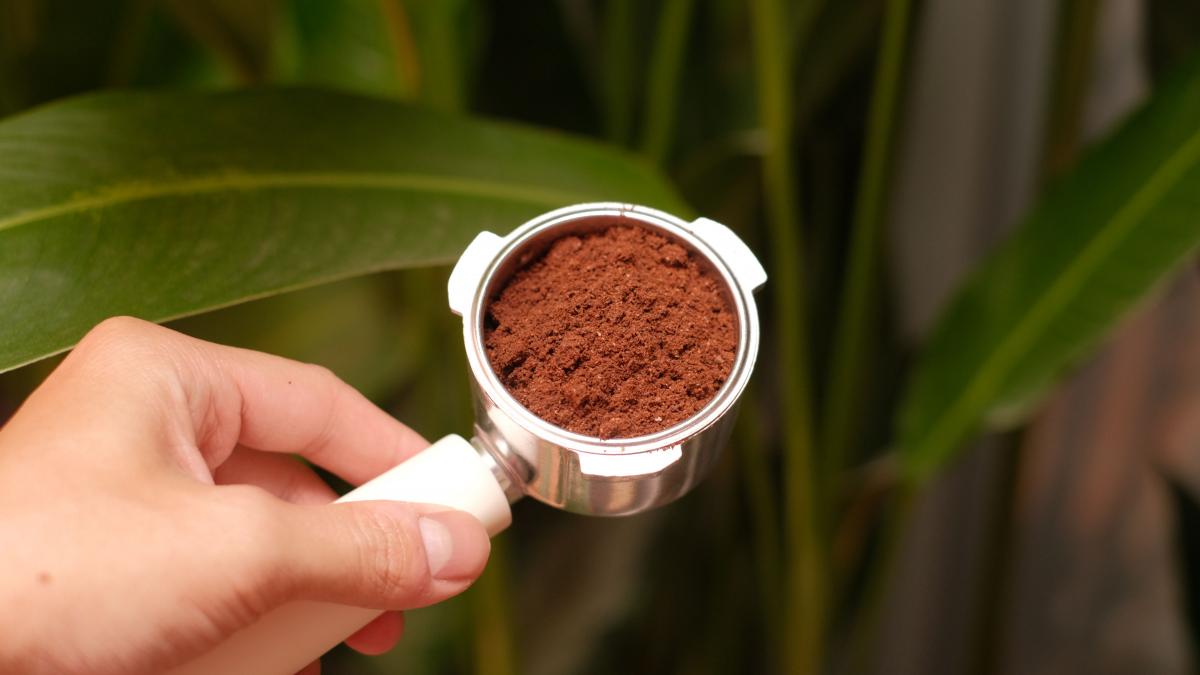 posos café
